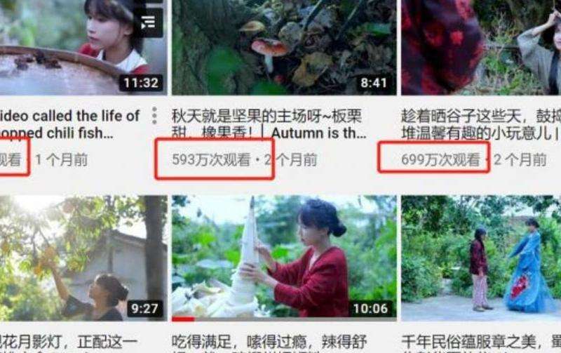 110M粉丝：INS上粉丝数量达到1.1亿的账户