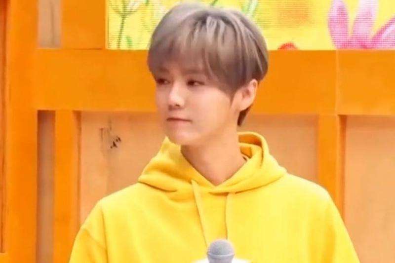 2021年鹿晗Ins粉丝数